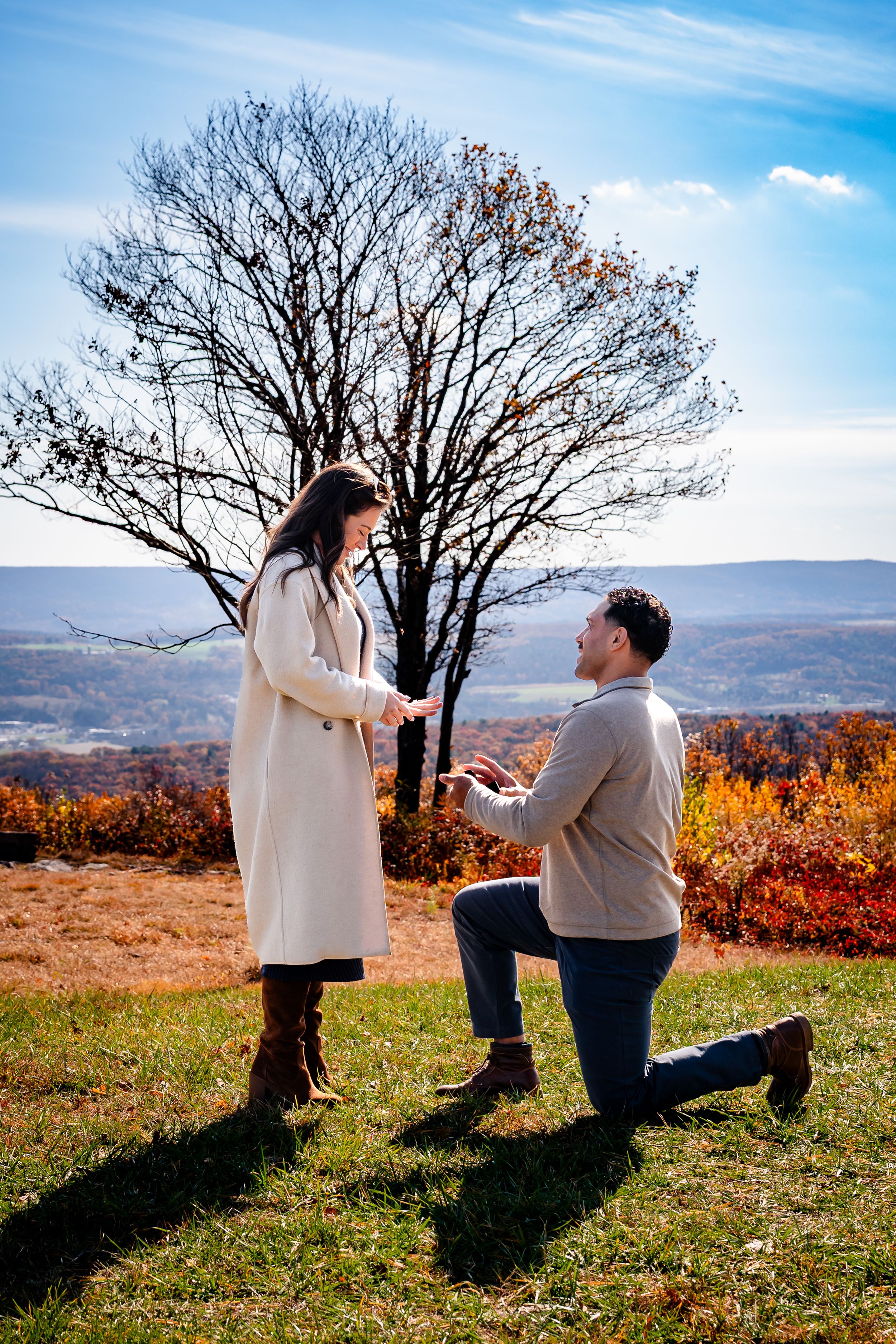 A couple shares a romantic proposal moment on a hilltop during autumn with a bare tree and colorful fall foliage in background.