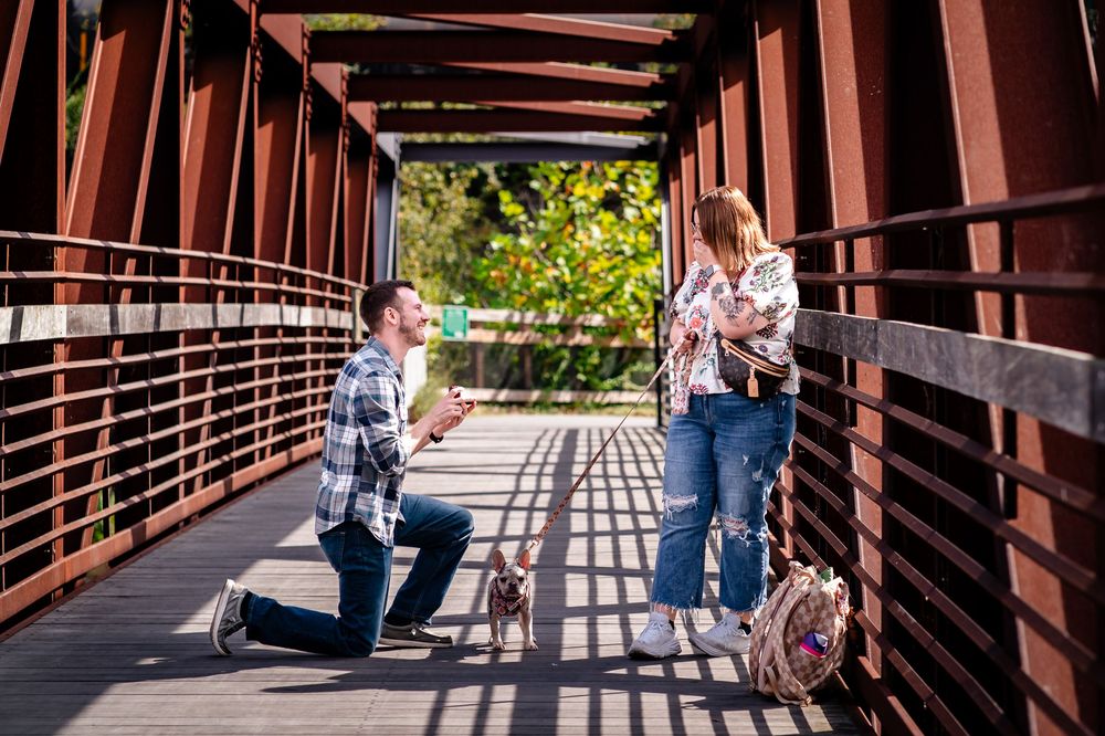 Long wooden bridge walkway with sunlight casting dramatic shadows through railings in a natural setting.