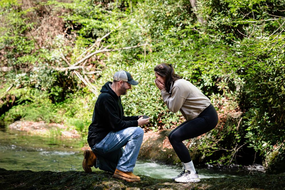 A series of connected photos showing people exploring and interacting with a scenic woodland stream in a natural setting.