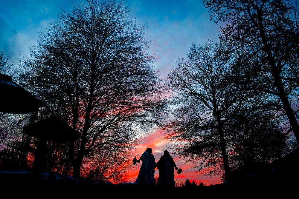 Silhouetted bare trees against a vibrant sunset sky with orange and pink hues create a dramatic winter landscape.