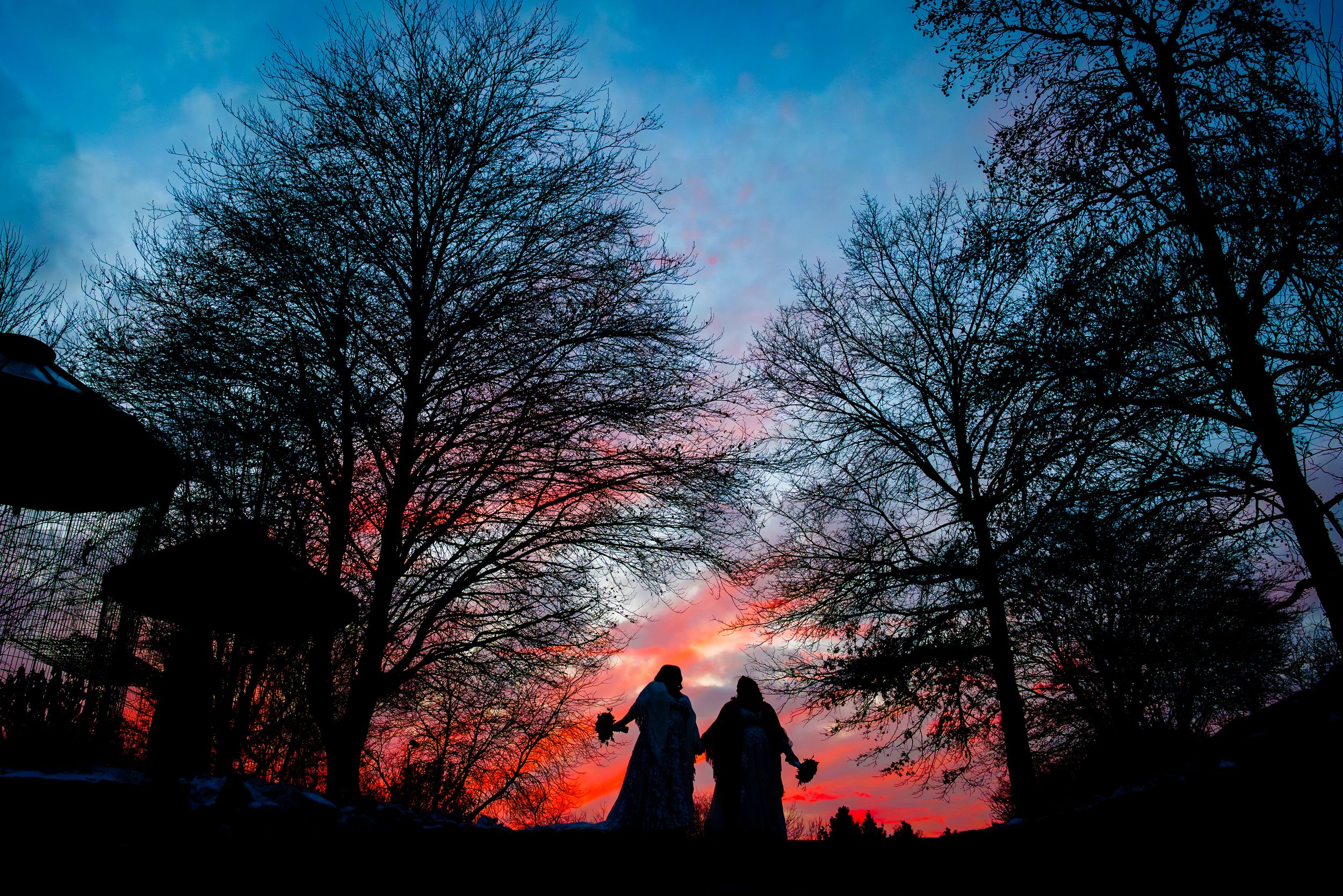 Silhouetted bare trees against a vibrant sunset sky with orange and pink hues create a dramatic winter landscape.