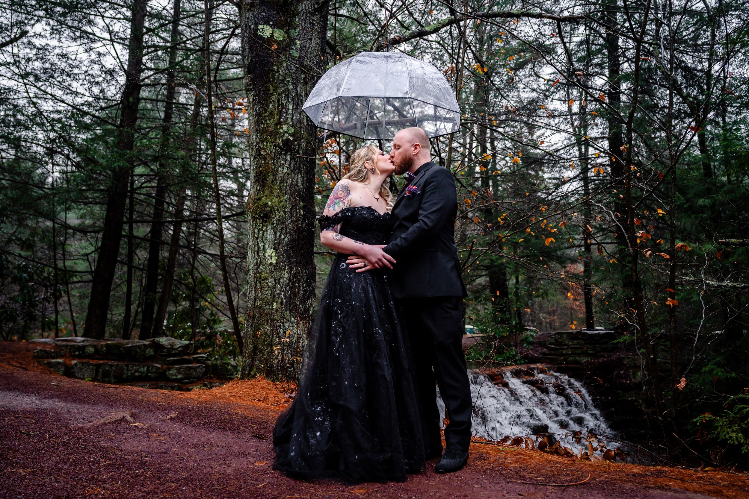 A couple embraces under a clear umbrella in a moody forest setting with a black formal dress and suit.