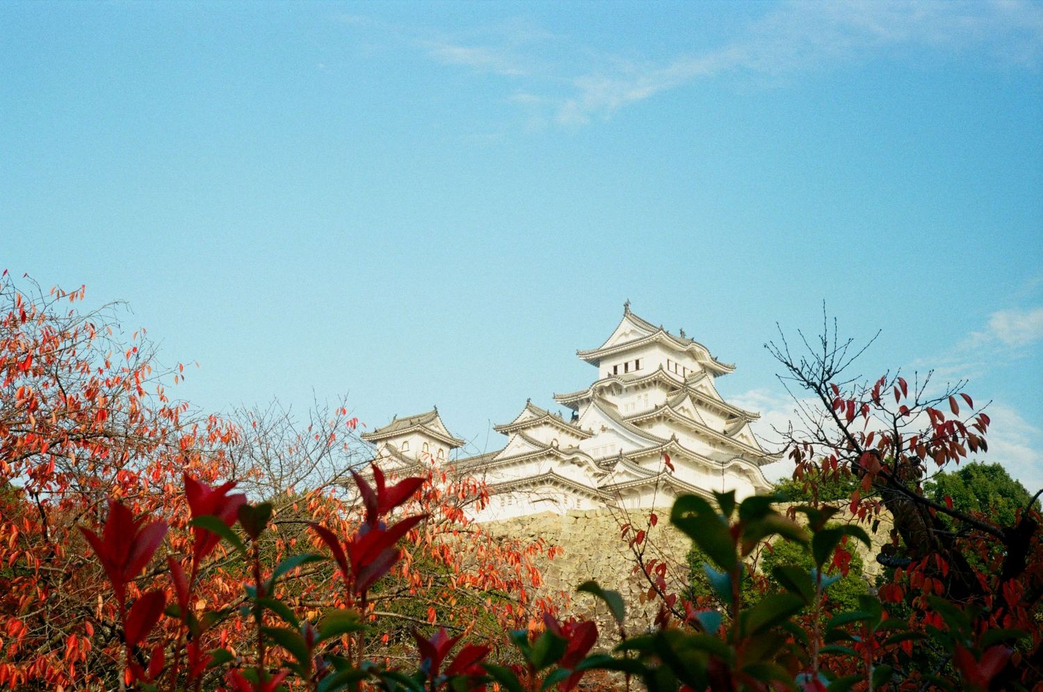 Panoramic view of Himeji Castle in Japan with autumn foliage and blue sky.