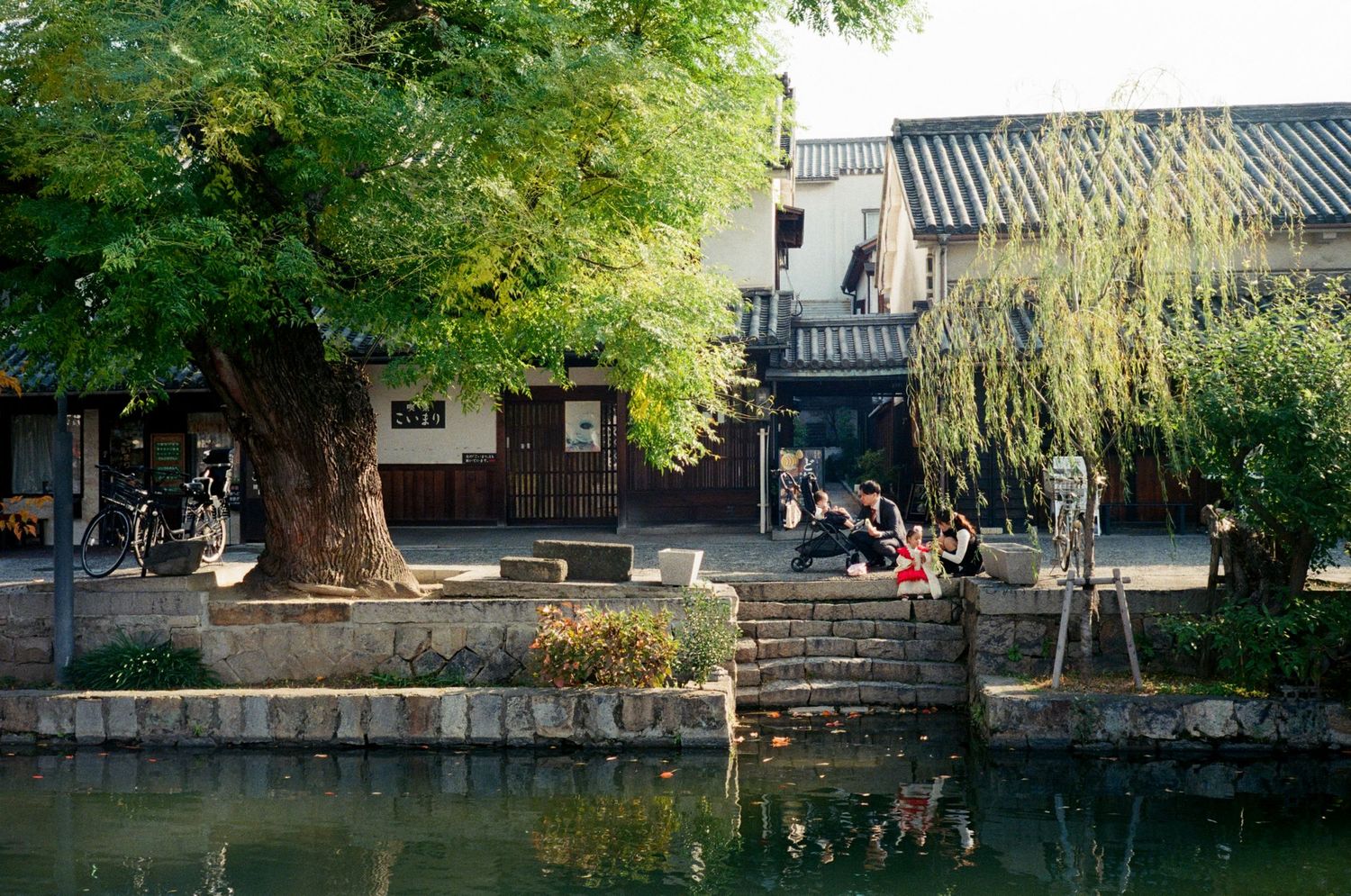 Wooden planks and walkways extend over a tranquil pond surrounded by lush greenery and trees.