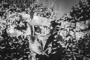 Abstract black and white image showing silhouette emerging through particles.