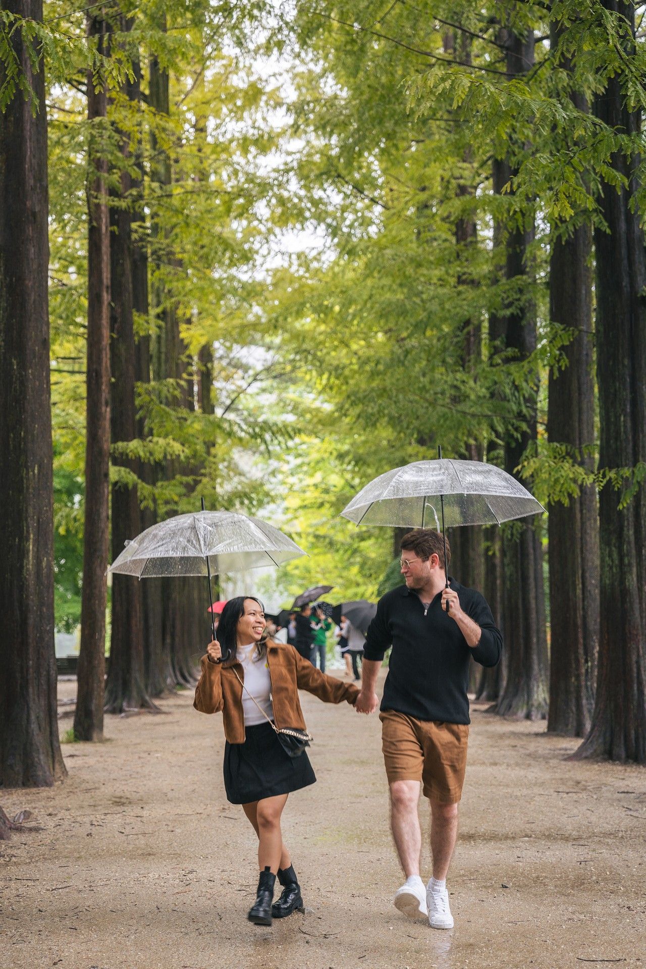 Couple walking with clear umbrellas along a tree-lined path at Nami Island in autumn.