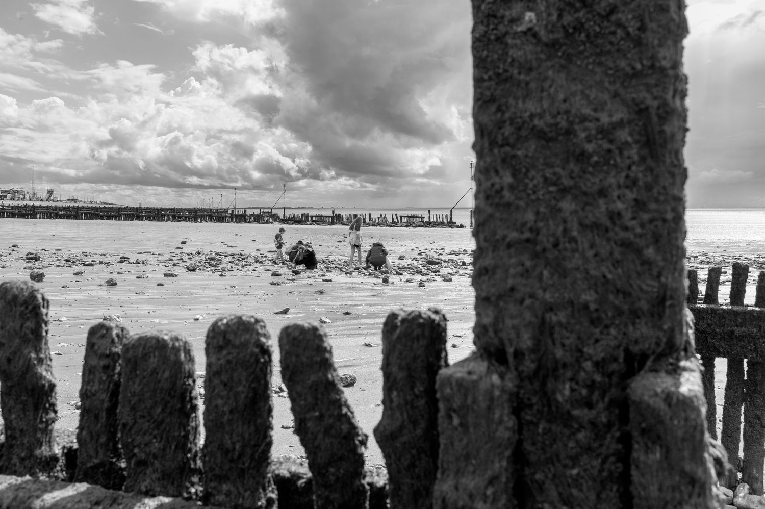 Black and white panoramic view of a rocky beach with wooden posts stretching into the distance along the shoreline.