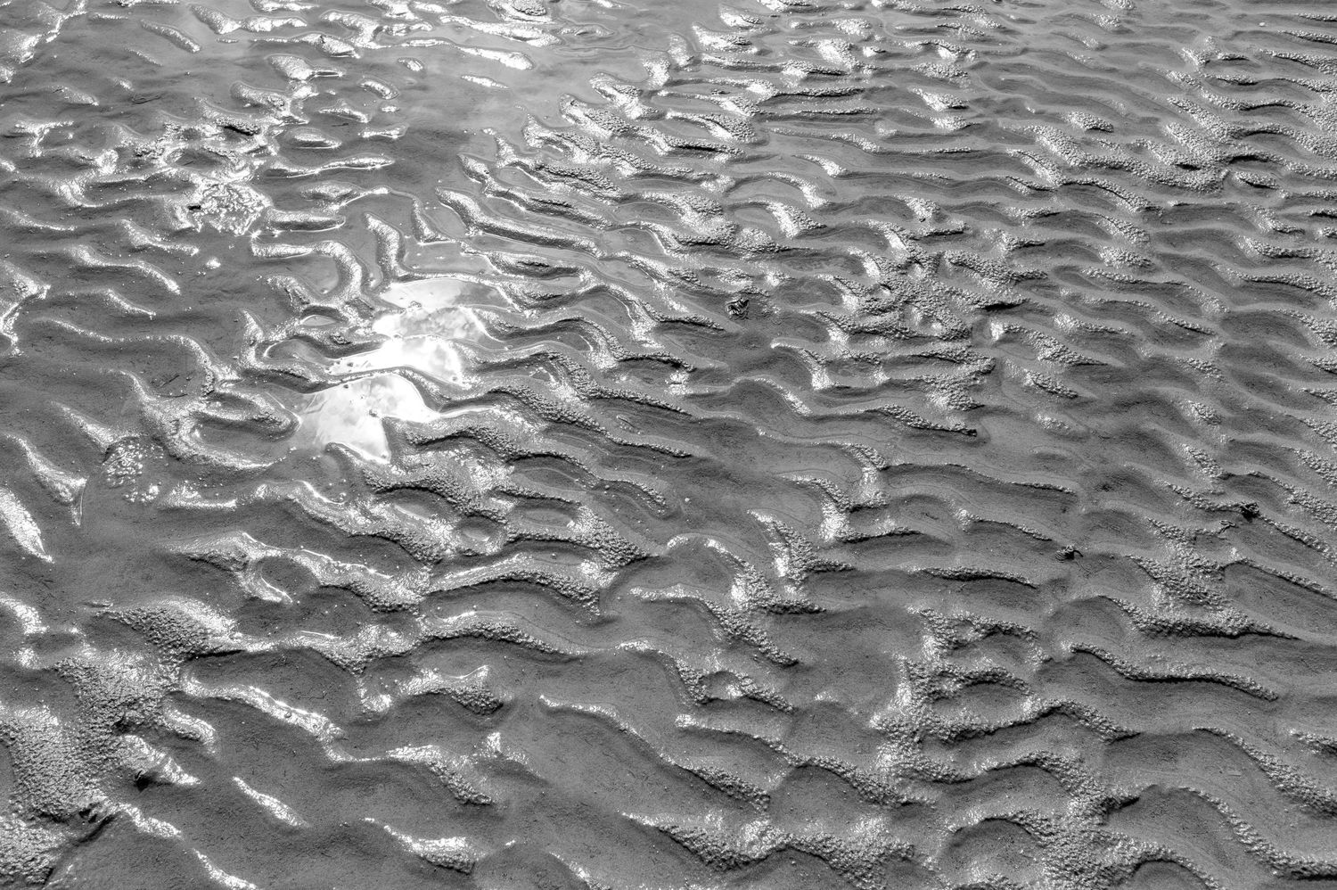 Rippling sand patterns formed by wind or water create a natural abstract texture on the beach or desert surface.