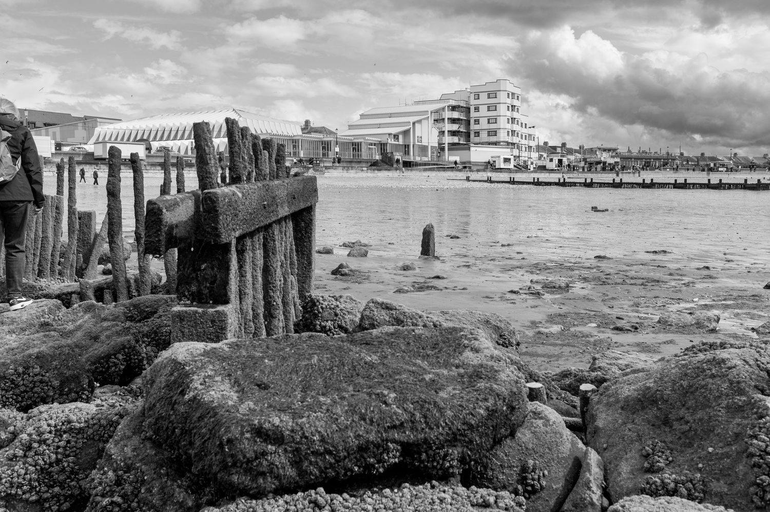 Black and white coastal scene with wooden groynes and buildings along a beach in Brighton, England.