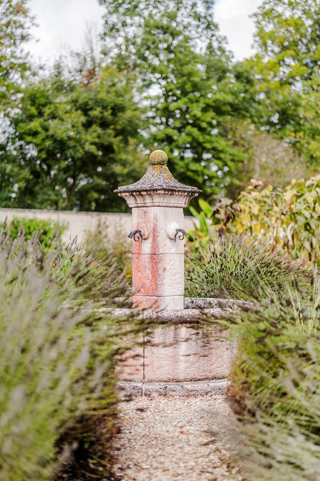 Pink stone pillars line a gravel garden path bordered by blooming lavender plants and lush greenery.