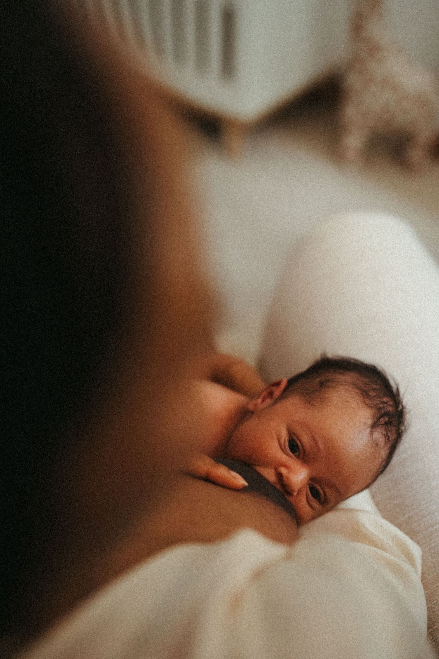 Artistic close-up photographs of a sleeping newborn in soft, natural light.