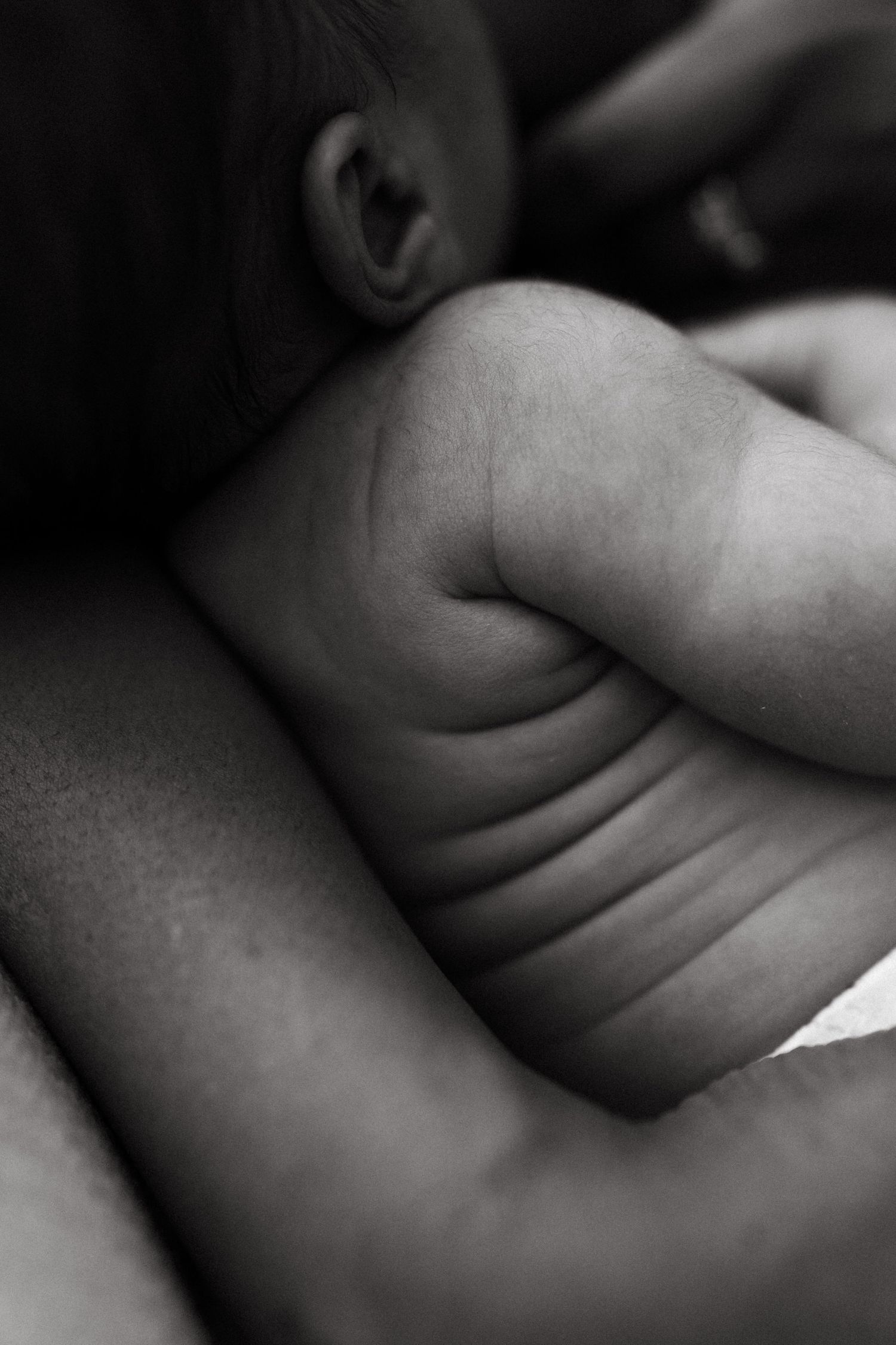 Abstract close-up shots of baby skin folds and curves in black and white.