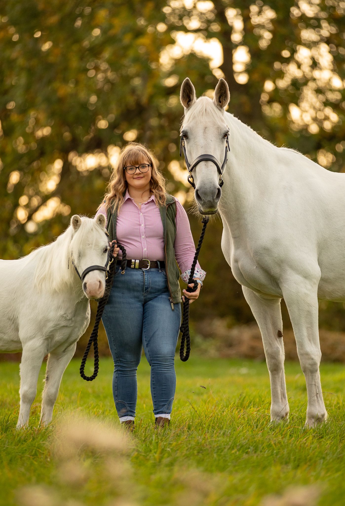 Palomino horse curiously sniffs and investigates someone sitting on stable floor wearing dark pants and light shirt.