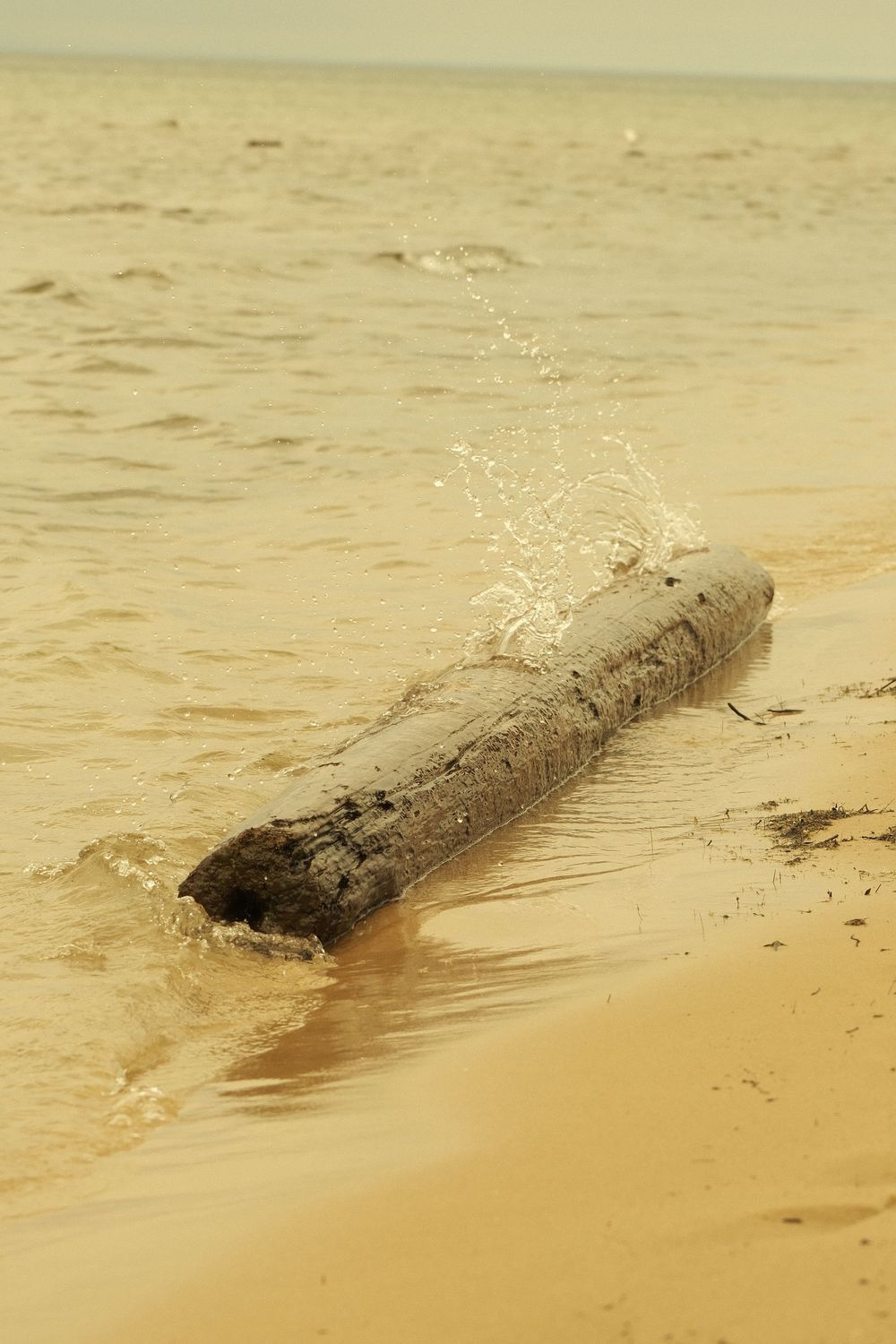 A weathered log washed up on a sandy beach with water splashing against it in golden sunlight.