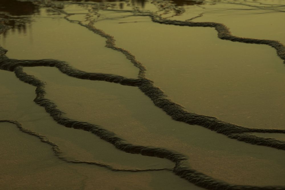 Aerial view of terraced rice paddies with curved lines and patterns in green and brown earth tones.