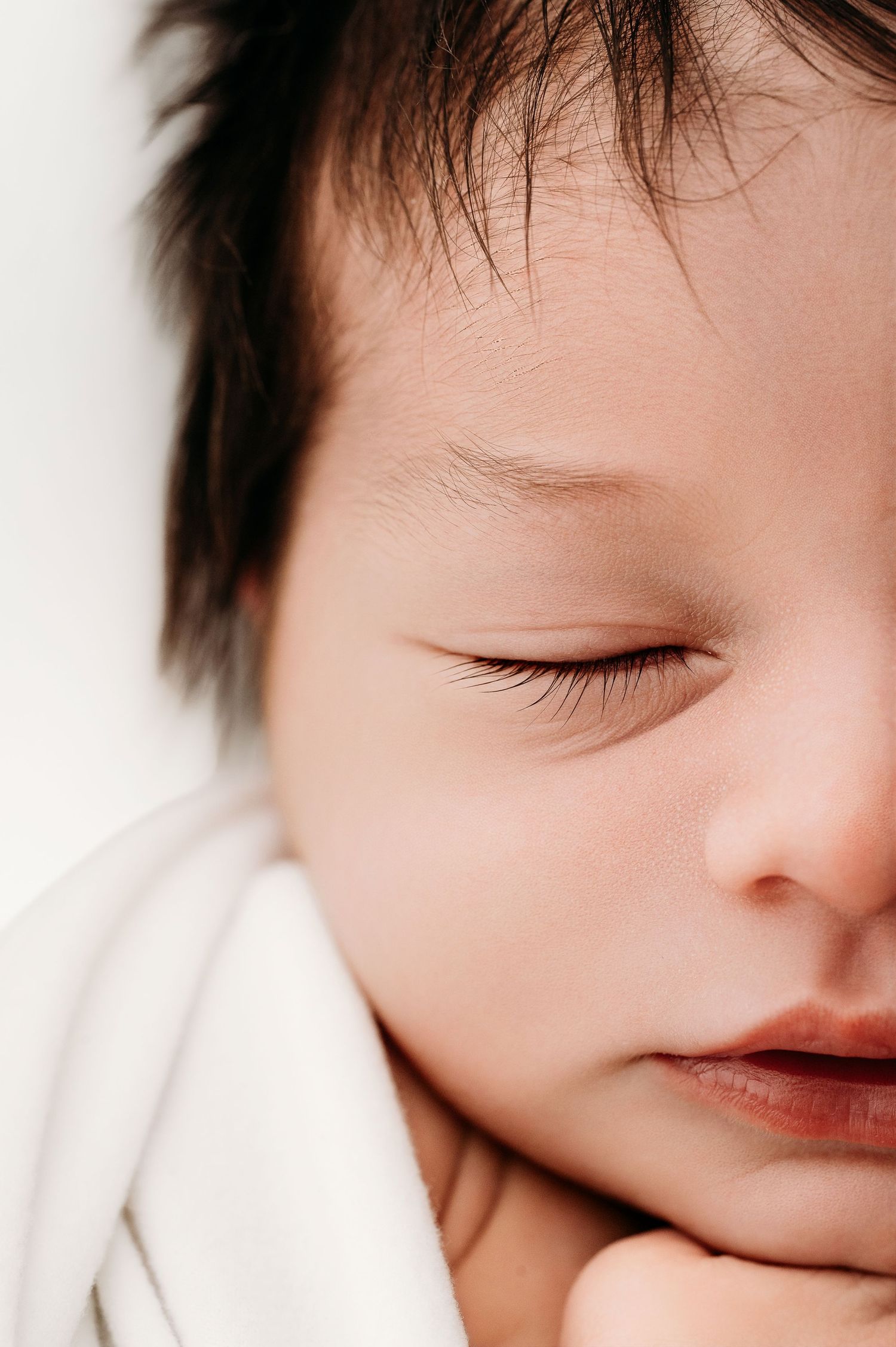 Kalamazoo Newborn Photographer Kalamazoo Photographer
