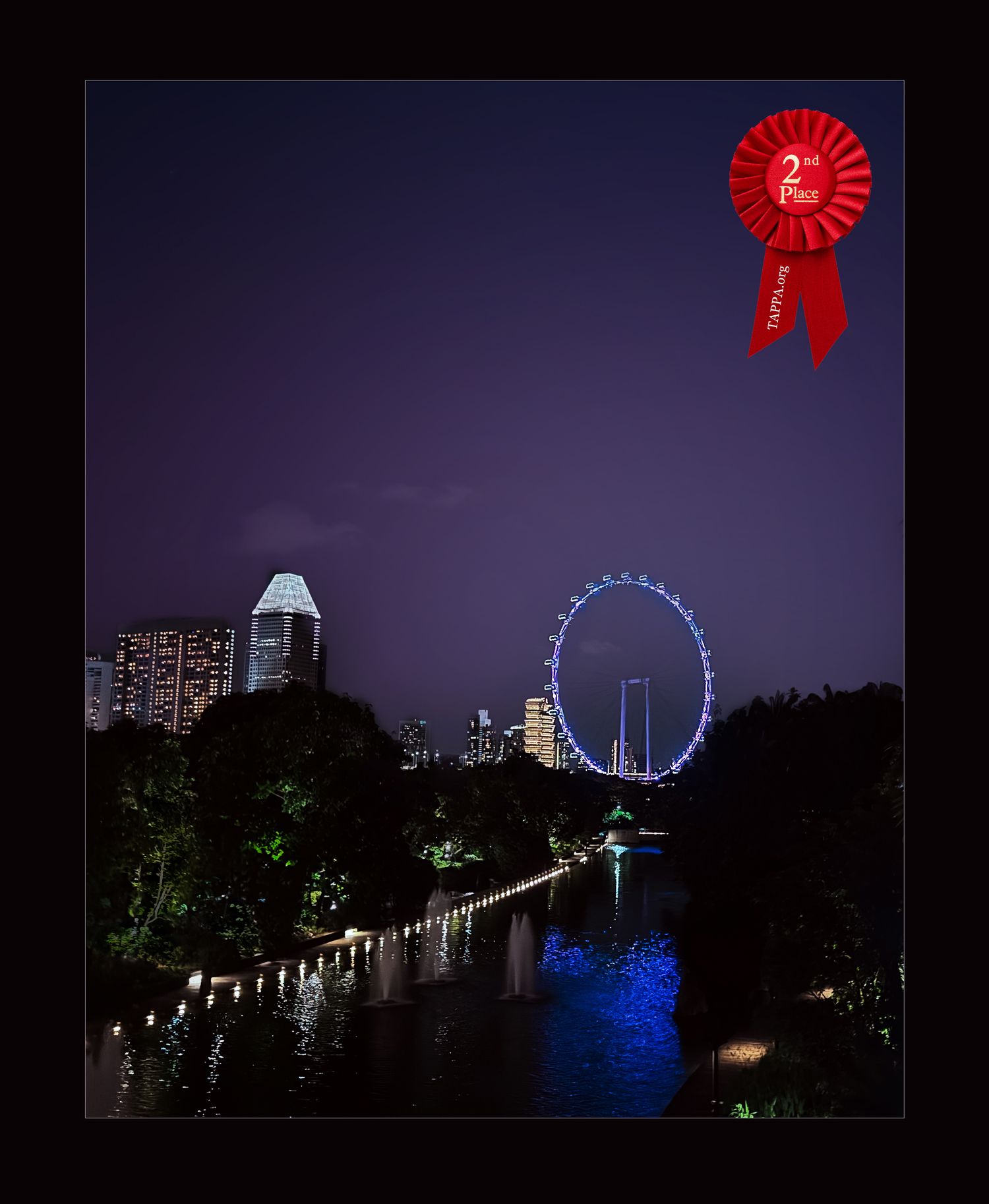 Tampa Professional Photographer