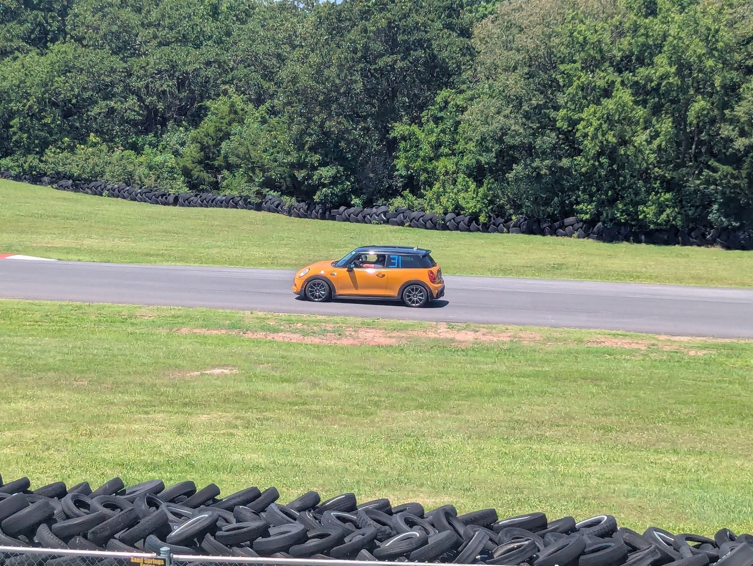 Orange Mini Cooper races on a track with stacked tires in the foreground and green trees in the background.