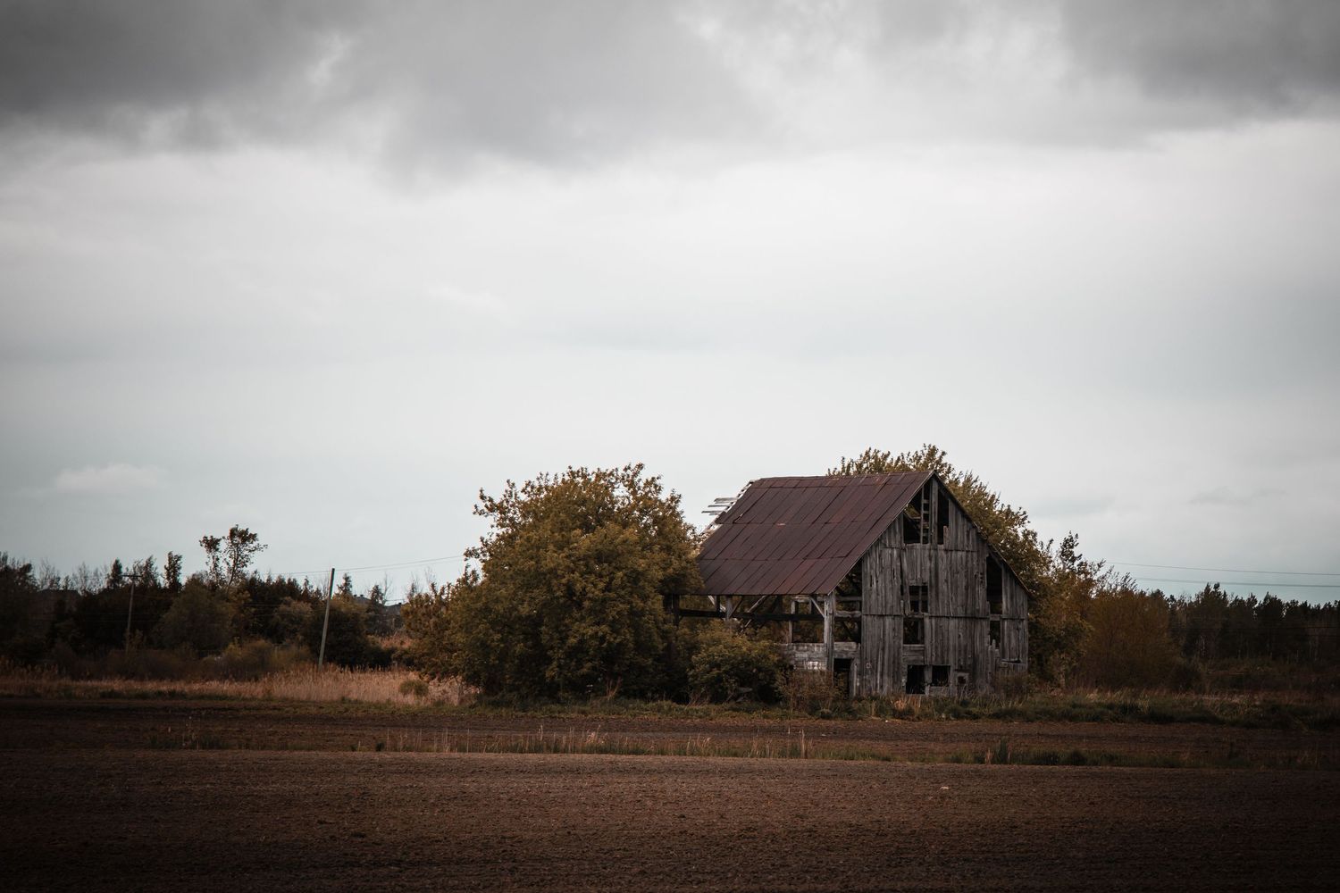 Weathered old barn in autumn field under moody gray sky.