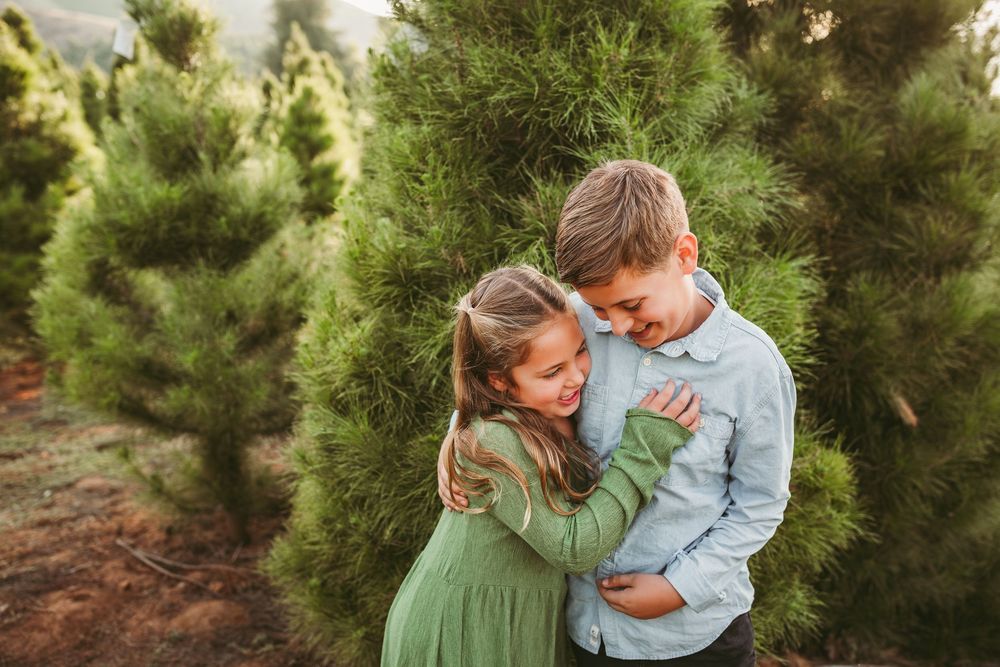 Two children share a sweet moment together while standing among green evergreen trees at a Christmas tree farm.