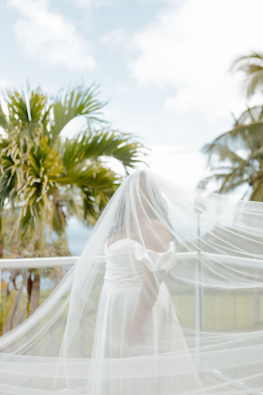 A flowing white wedding veil catches the breeze against a tropical backdrop with palm trees and blue sky.