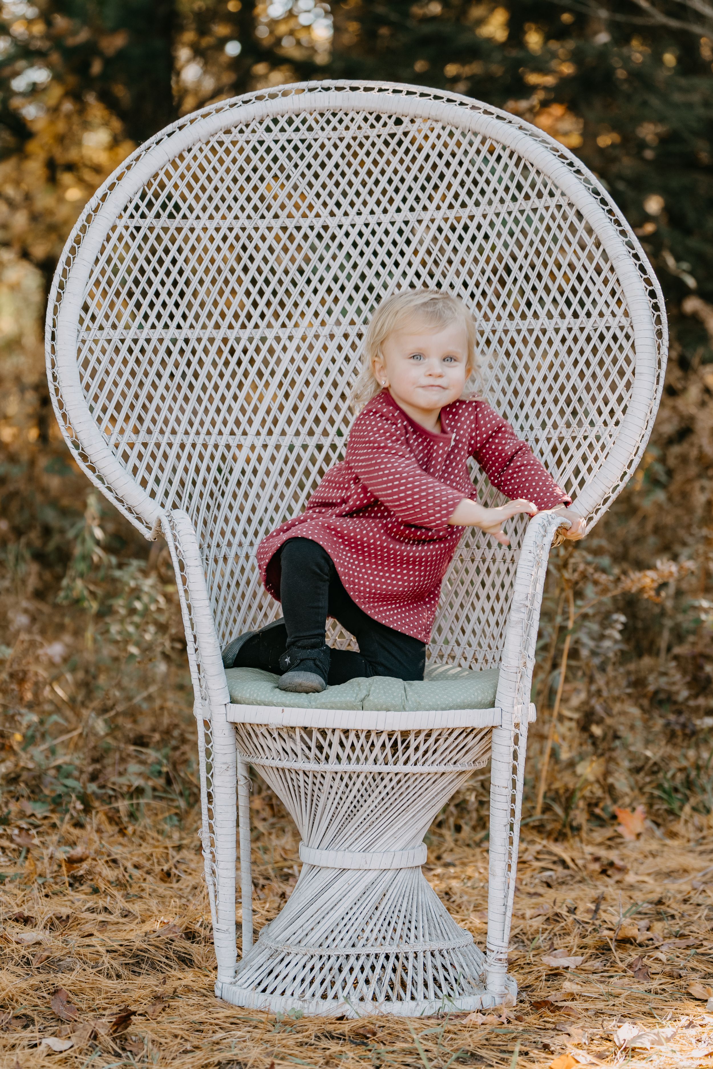 A classic white wicker peacock chair outdoors with decorative high fan back set against autumn foliage.