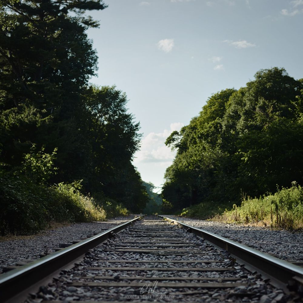Railroad tracks surrounded by green trees stretch into the distance on a sunny day at Devil's Lake State Park, Wisconsin.