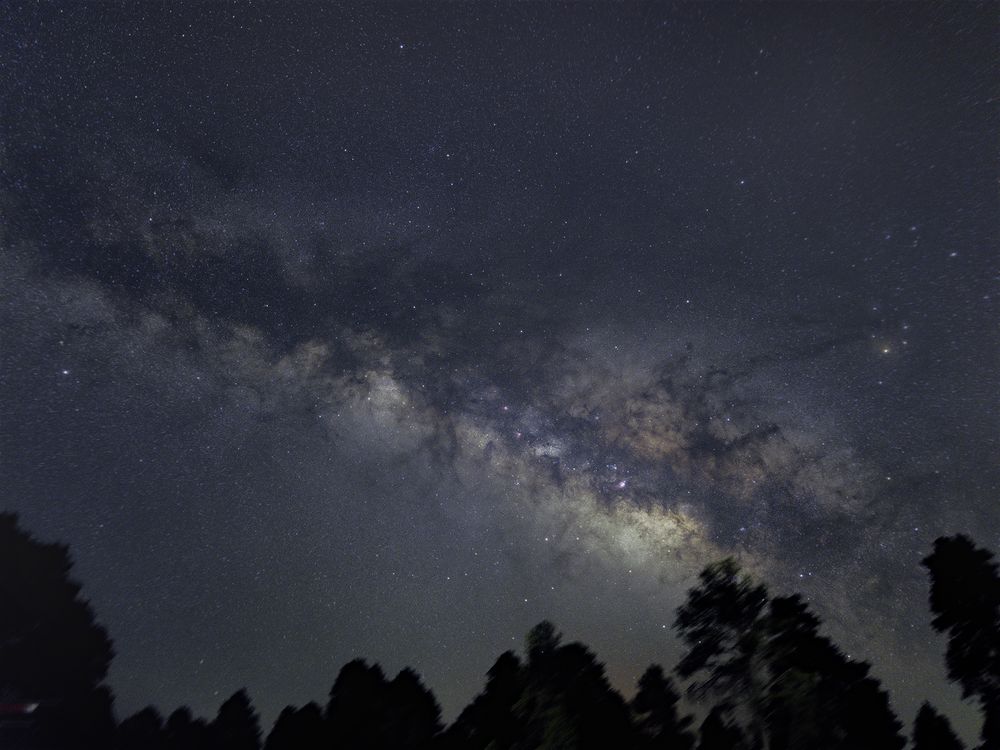 Stunning Milky Way galaxy arching over dark silhouetted trees in a clear night sky filled with stars.