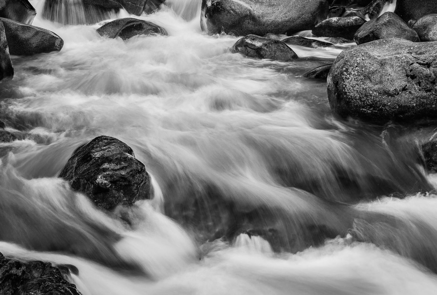 Lynn Creek, Lynn Canyon, North Vancouver