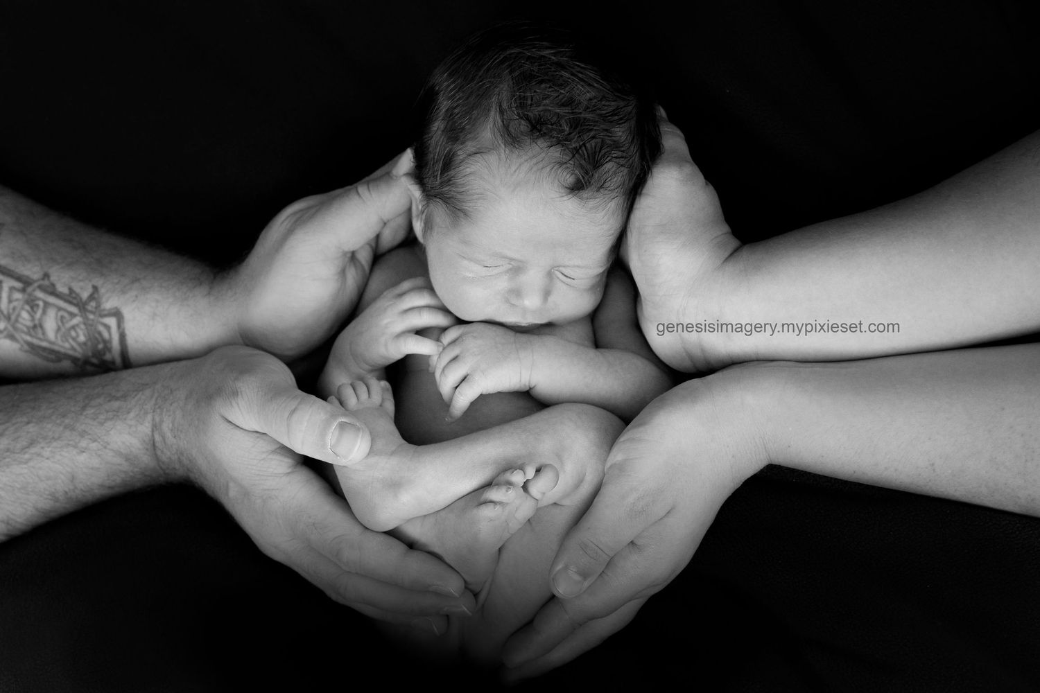 Gold Coast Black and white Newborn Photography sleeping baby curled up in parents hands