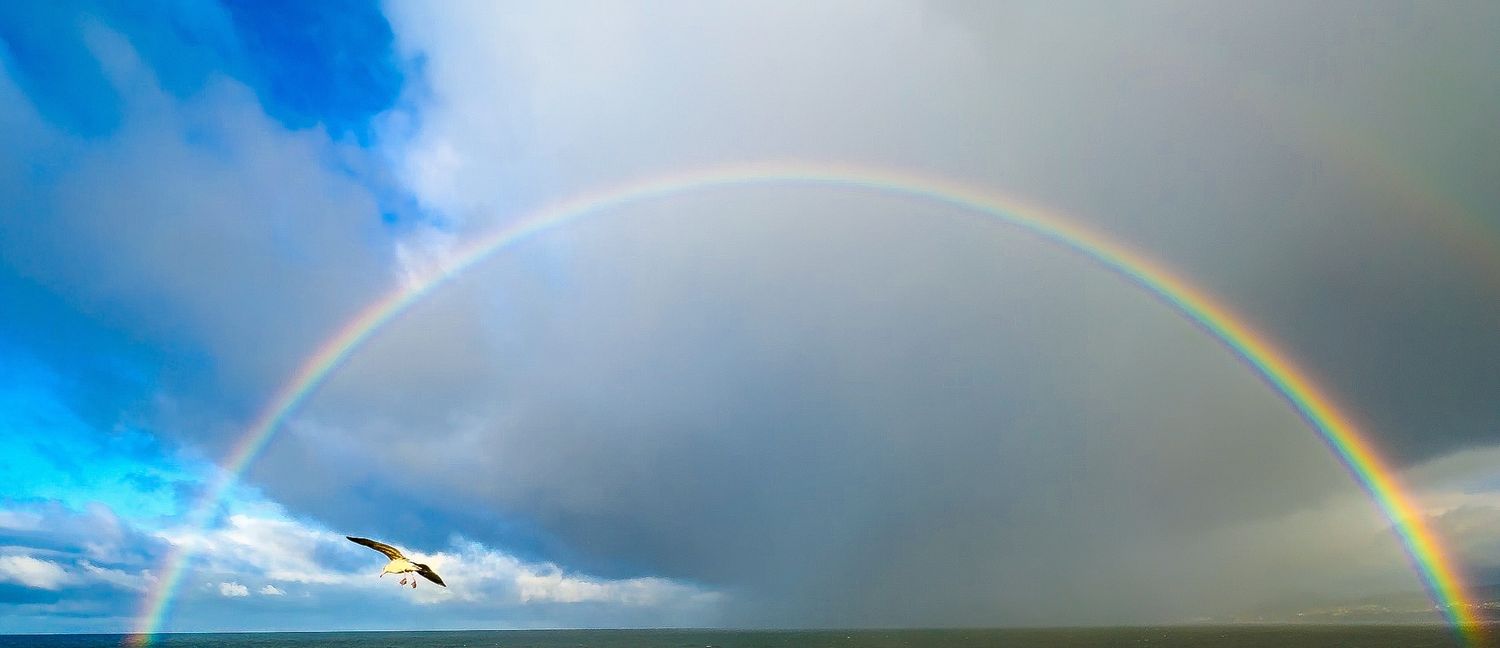 Double rainbow forms perfect arch across cloudy sky with bird silhouette soaring beneath.