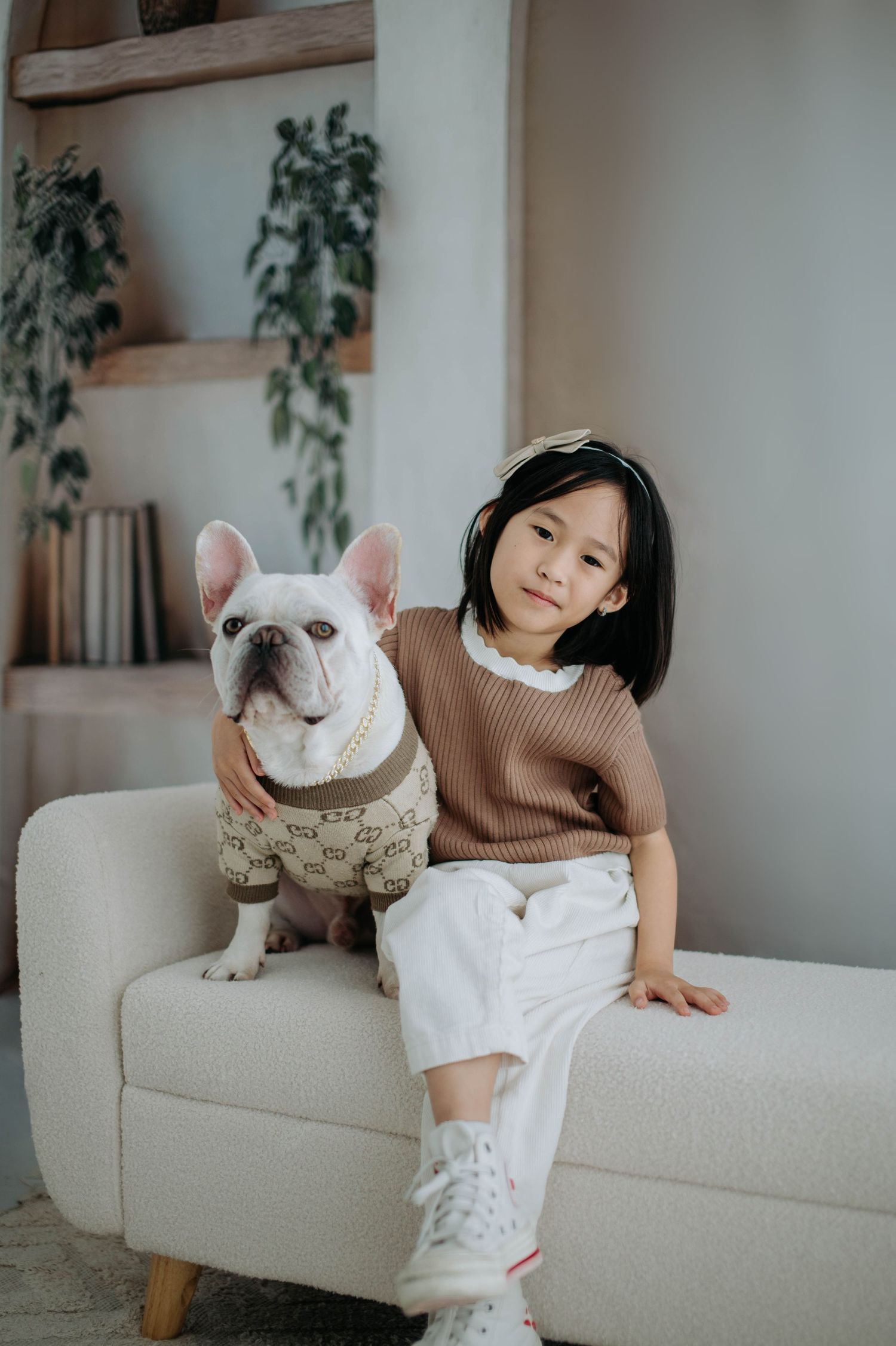 White French Bulldog wearing a patterned sweater sits on a beige couch with a companion in a cozy living room.