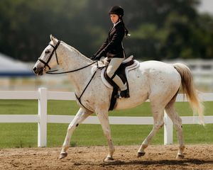 An equestrian rider in black show attire guides a white horse around a sandy arena with white fencing.