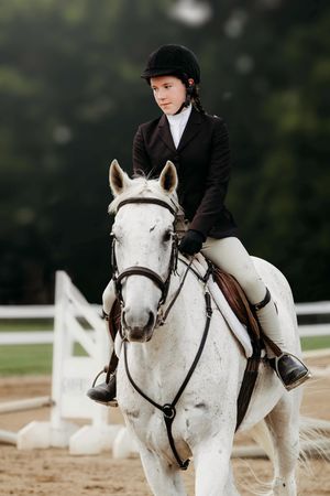 A white show horse and rider in formal equestrian attire performing in a sandy arena.