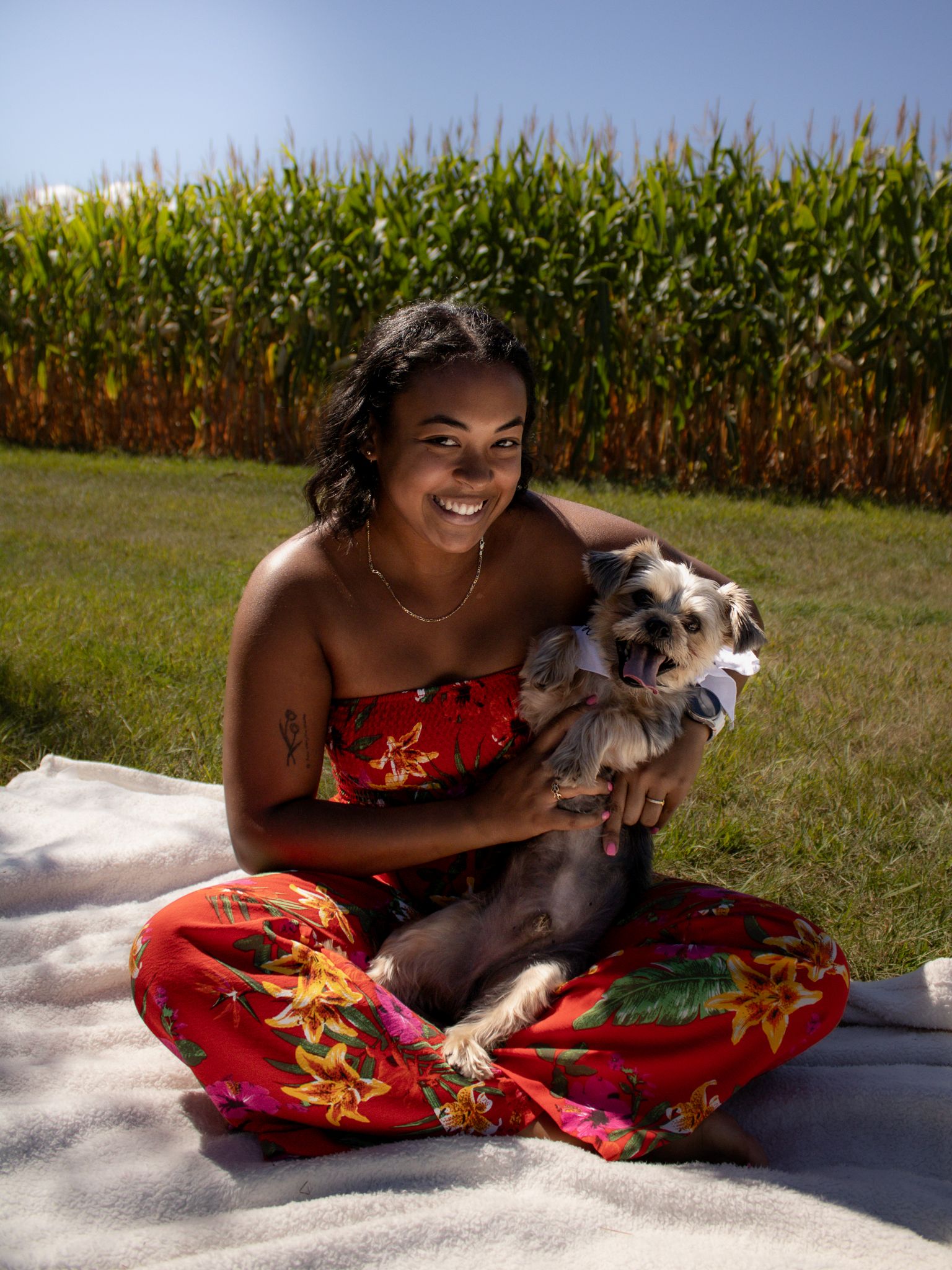 A series of eight connected photos showing a person in a red floral dress interacting with a small gray dog outdoors.