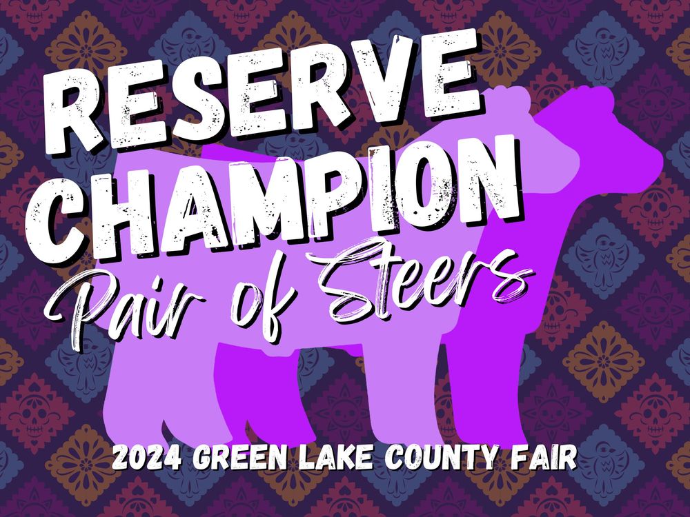 Green Lake County Fair Champion Banners 2024
