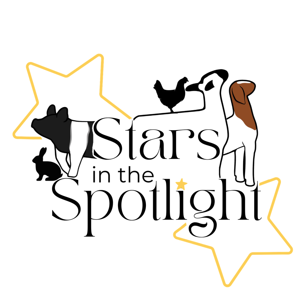 Stars in the Spotlight