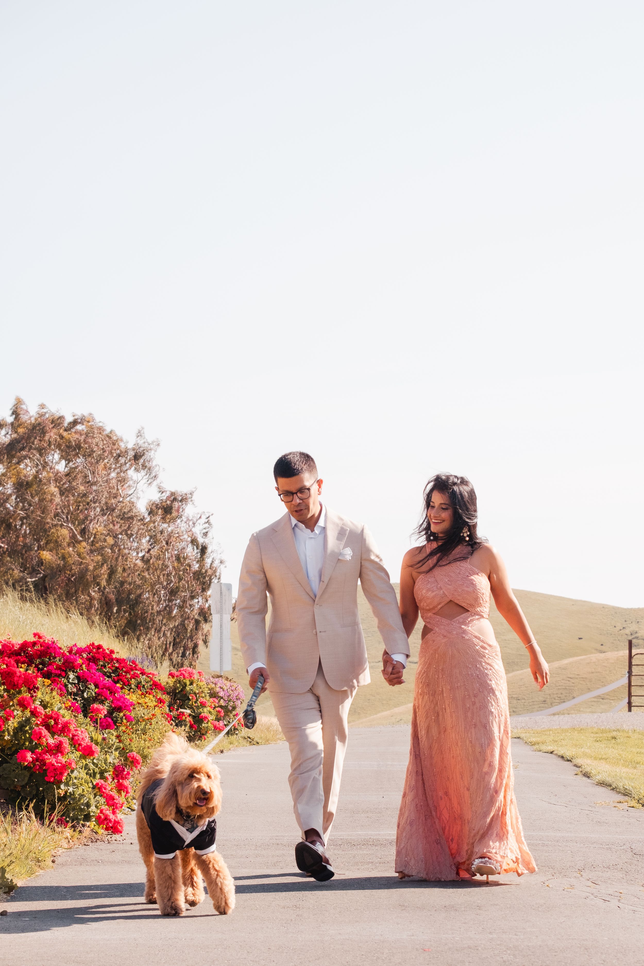engaged couple walking their dog.