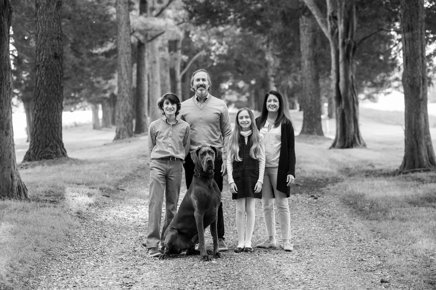 A series of four vintage black and white photographs showing people walking and posing in a tree-lined park path.