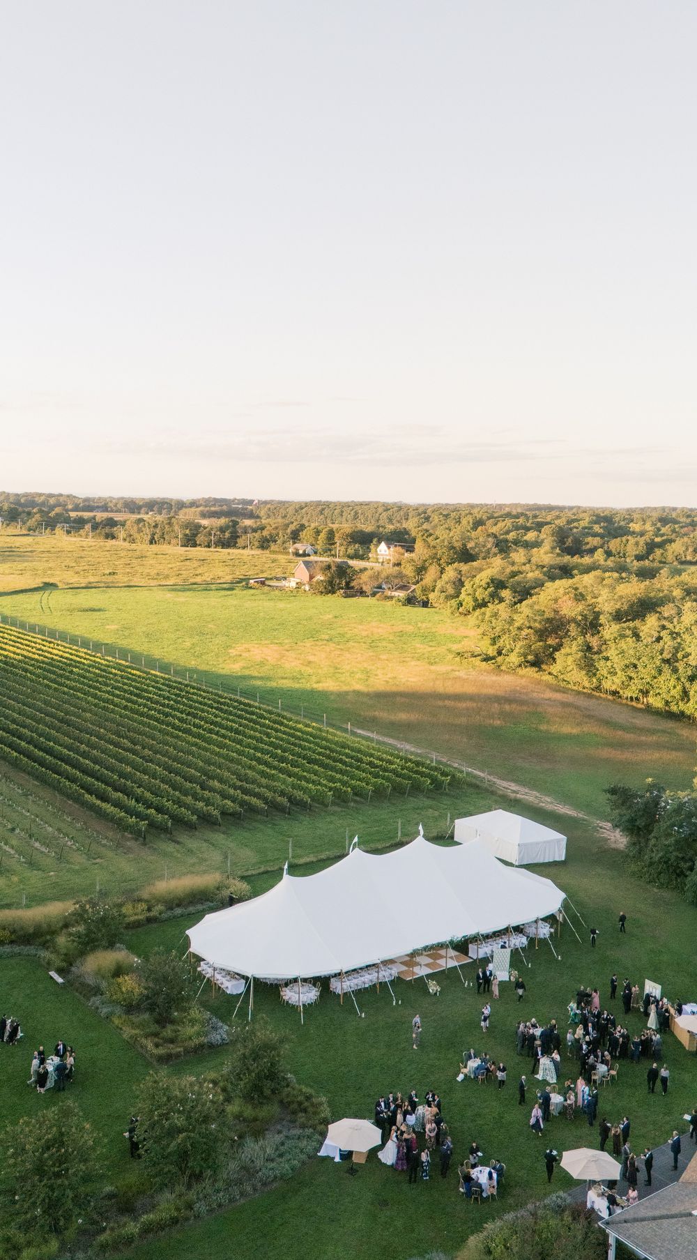 Aerial view of elegant white wedding tent beside vineyard rows at golden hour.