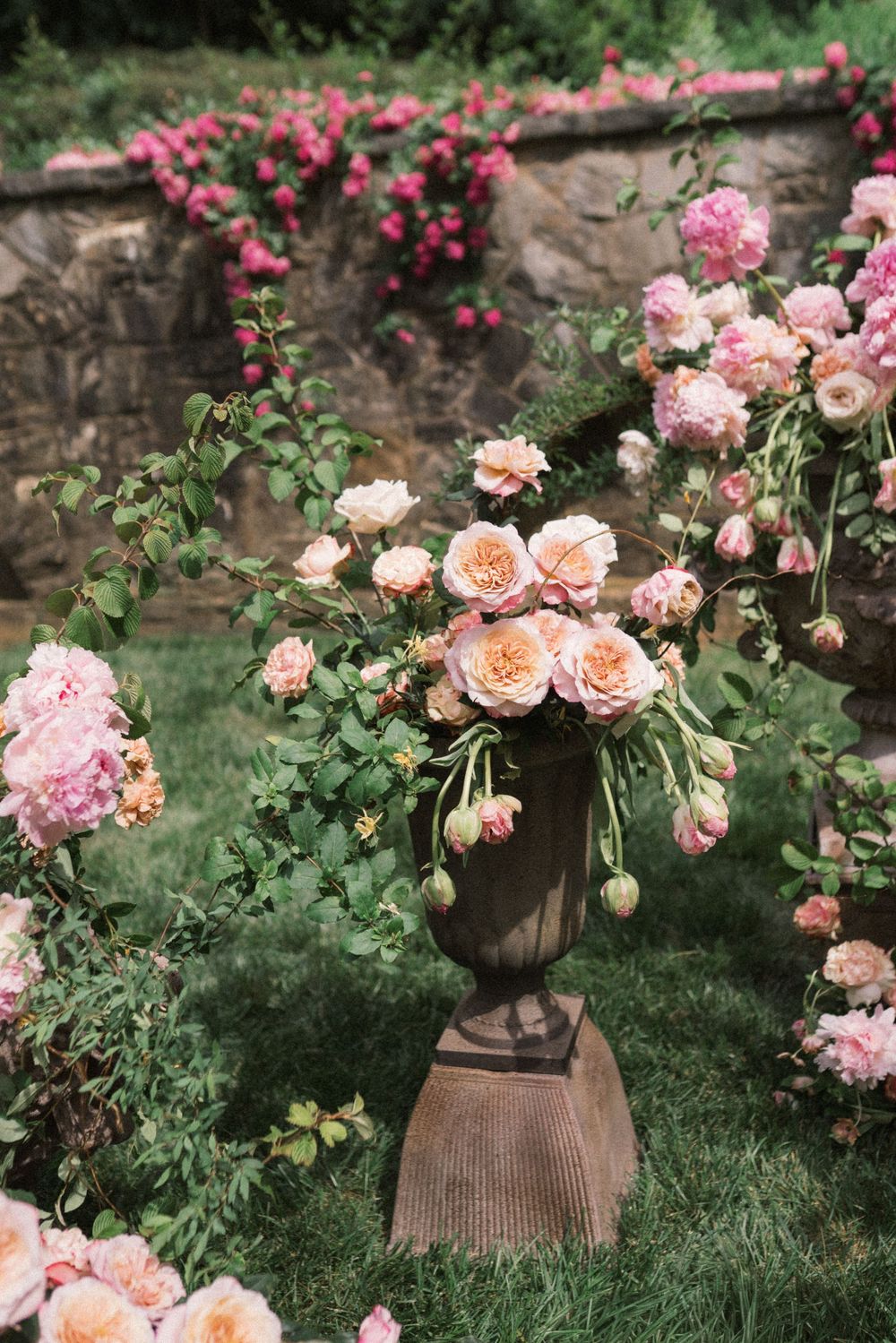 Elegant garden urn overflowing with peach and pink roses, surrounded by climbing roses on stone wall backdrop.