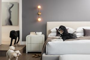 Interior Design Photography of a residential project in Niagara, Ontario, Canada. Architectural photography Bruno Belli. Bedroom with dogs.