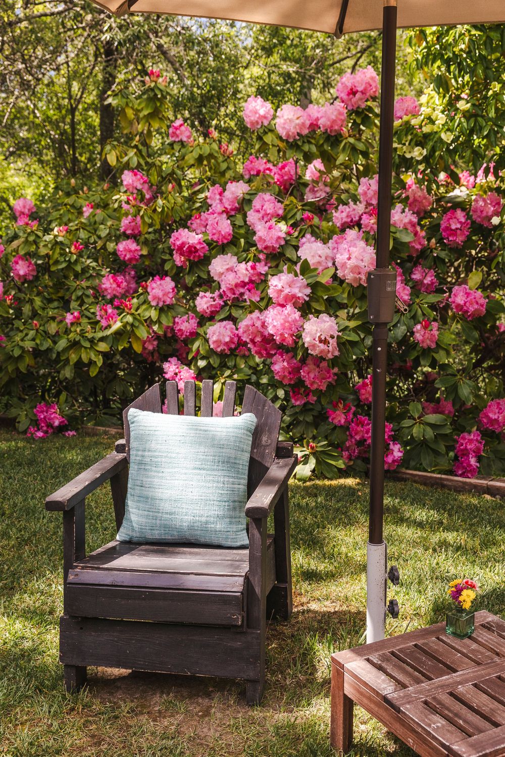 Wooden Adirondack chair with blue cushion sits in garden surrounded by blooming pink climbing roses and green foliage.
