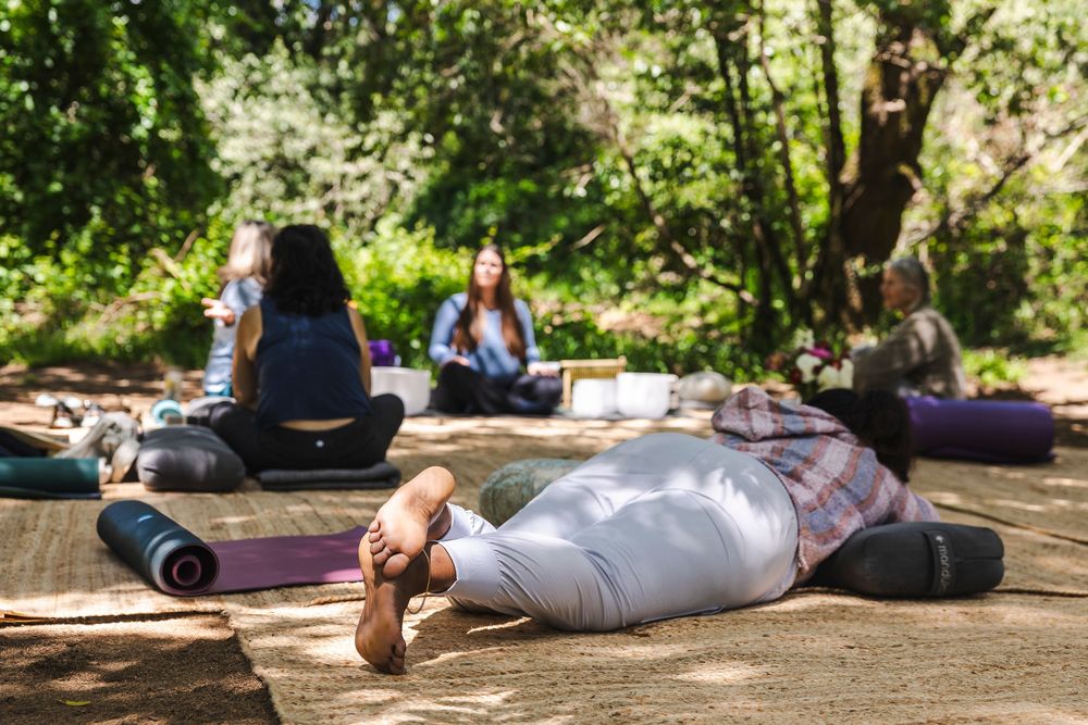 People practicing yoga and meditation outdoors in a peaceful forest setting with yoga mats on the ground.