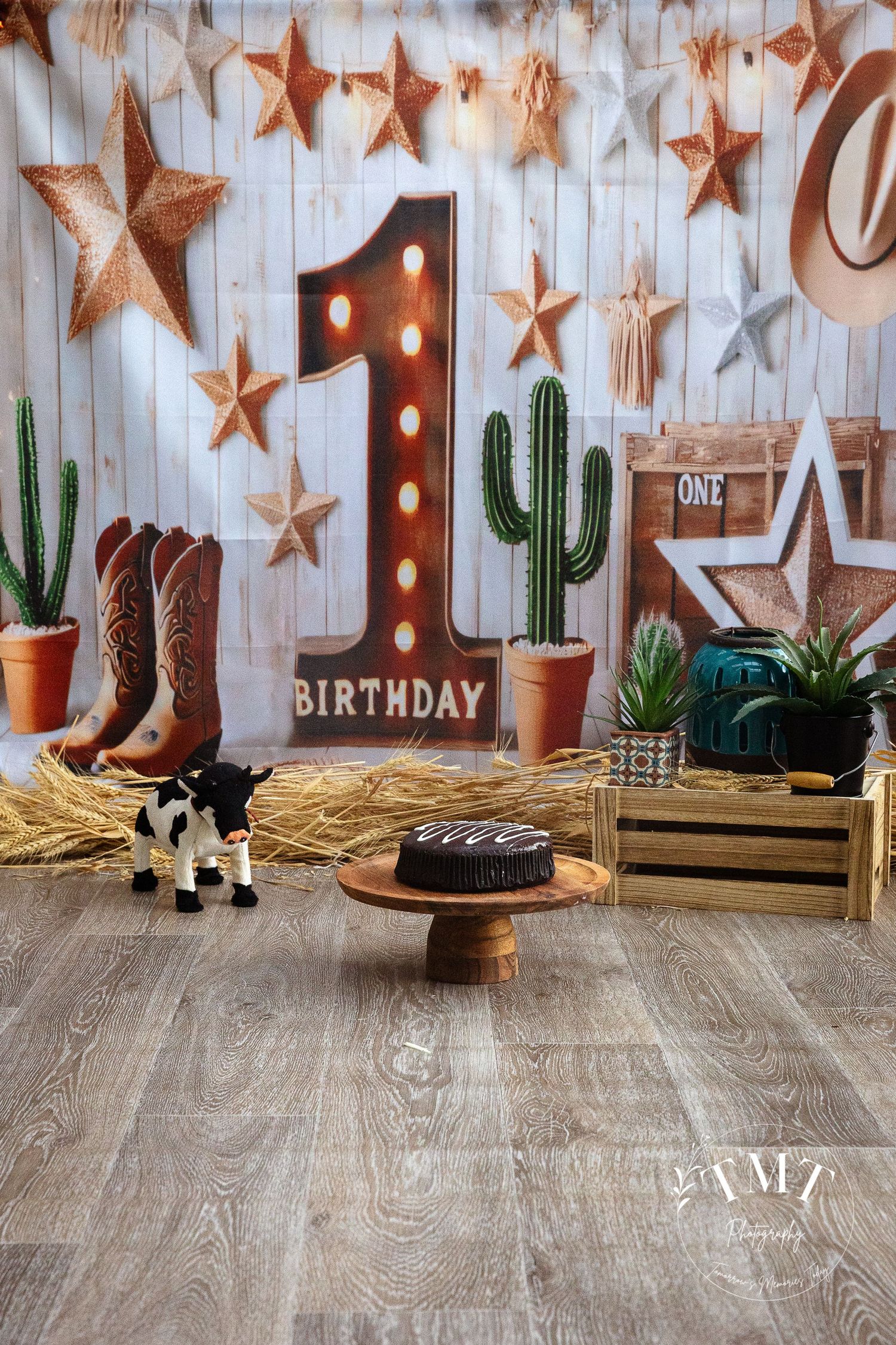 Cowboy cake smash set for a professional cake smash photo shoot