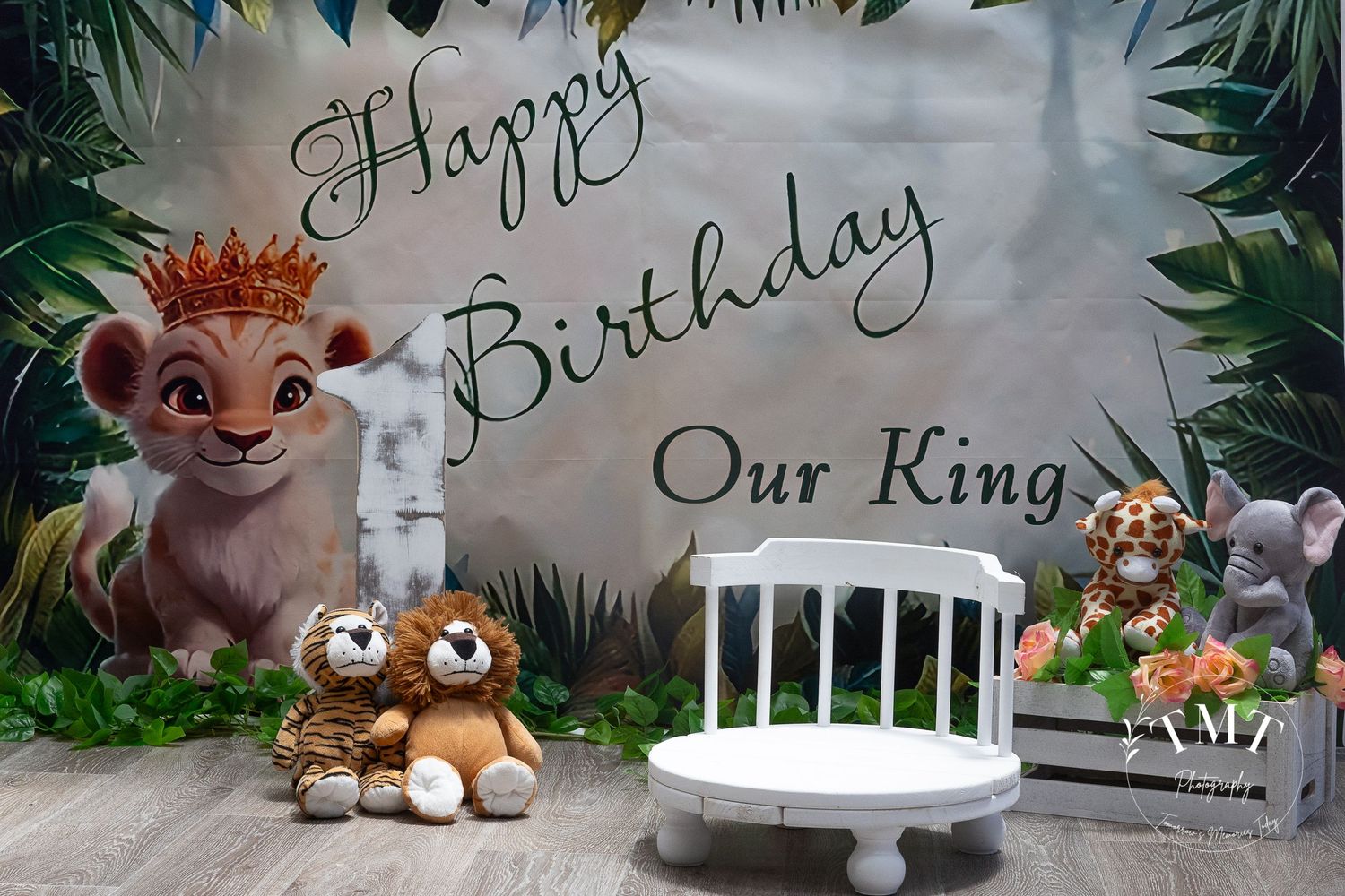 Lion King cake smash set for a professional cake smash photo shoot
