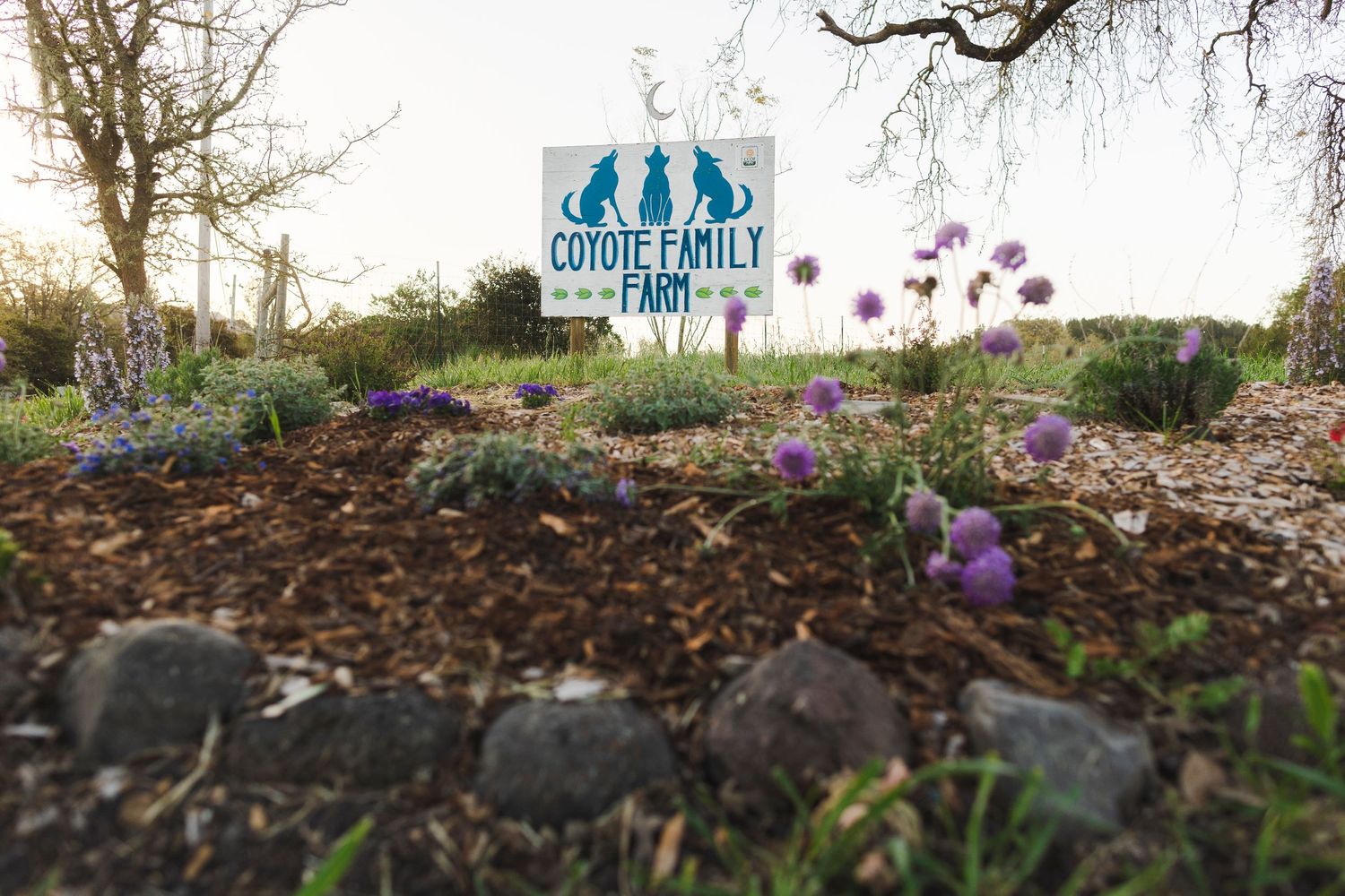 A blue sign stands in a garden bed with mulch and purple flowers blooming in the foreground.