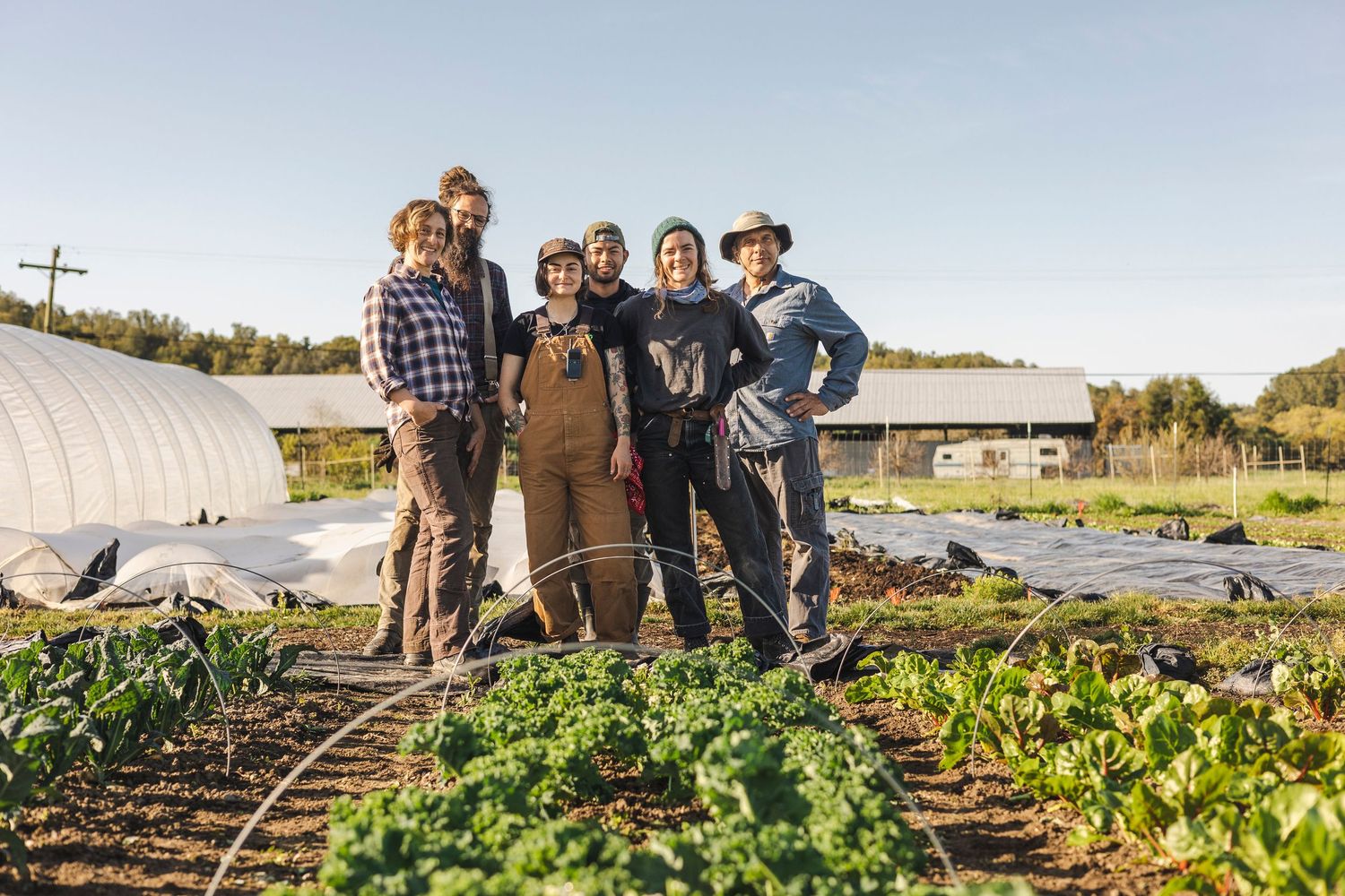 Group of people working together in a community garden harvesting fresh vegetables and produce on a sunny day.