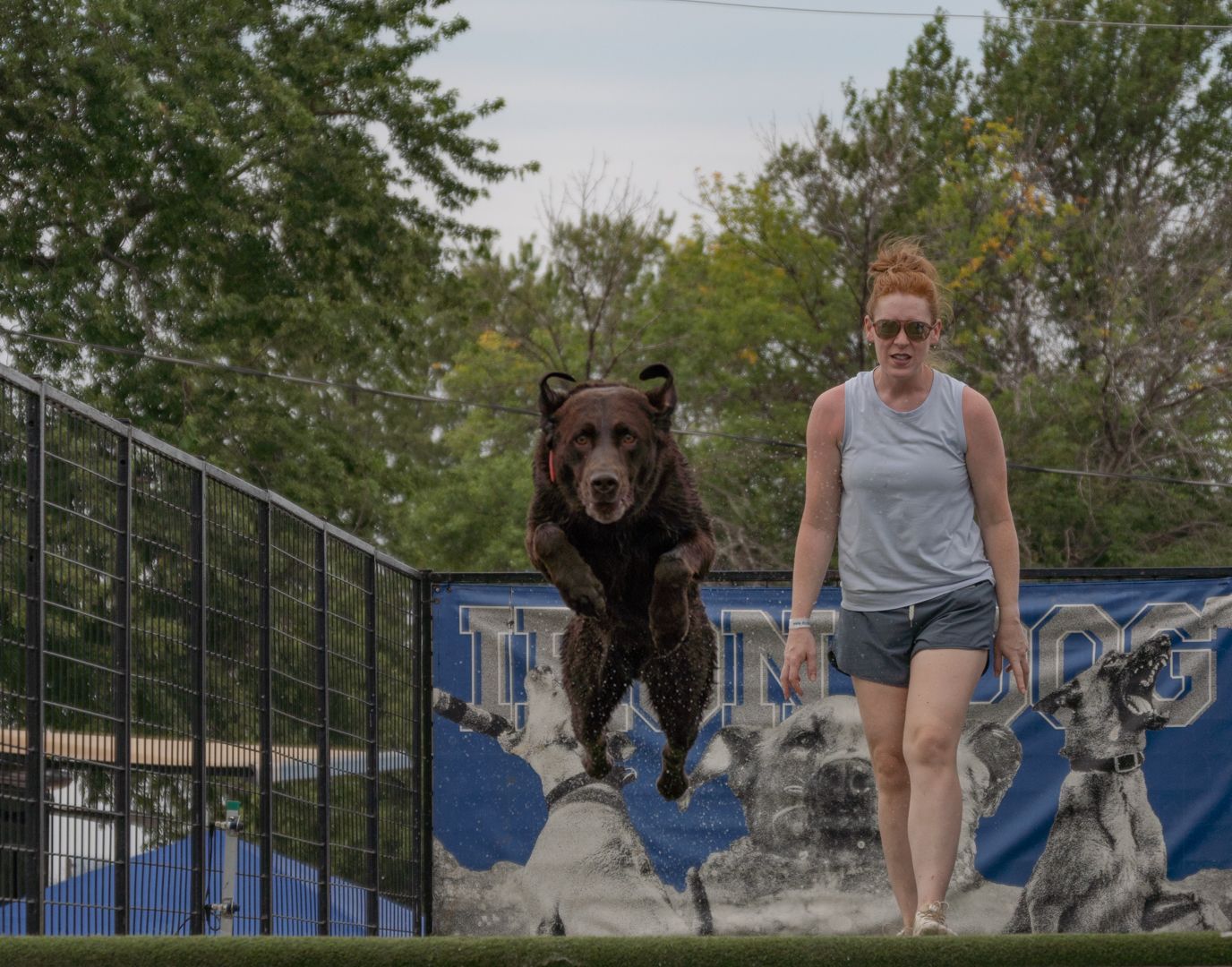 Women letting her chocolate lab jump off the dock and complete in Dockdogs.