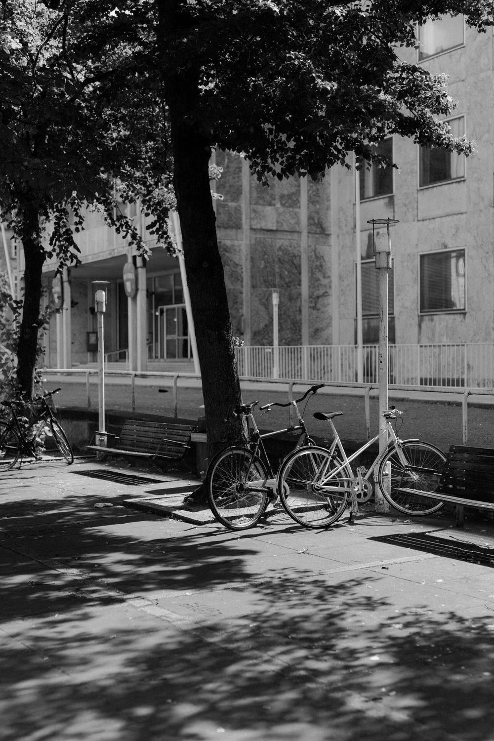 A series of black and white photographs showing bicycles parked against buildings with trees casting dappled shadows.